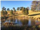 Wingham NSW 2429