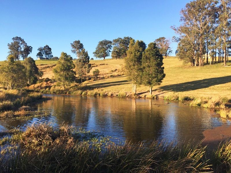 Wingham NSW 2429