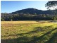 Wingham NSW 2429