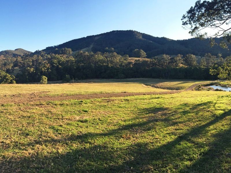 Wingham NSW 2429