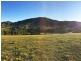Wingham NSW 2429