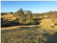 Wingham NSW 2429