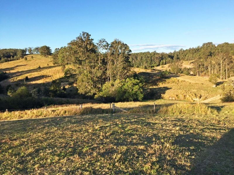 Wingham NSW 2429