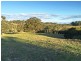 Wingham NSW 2429