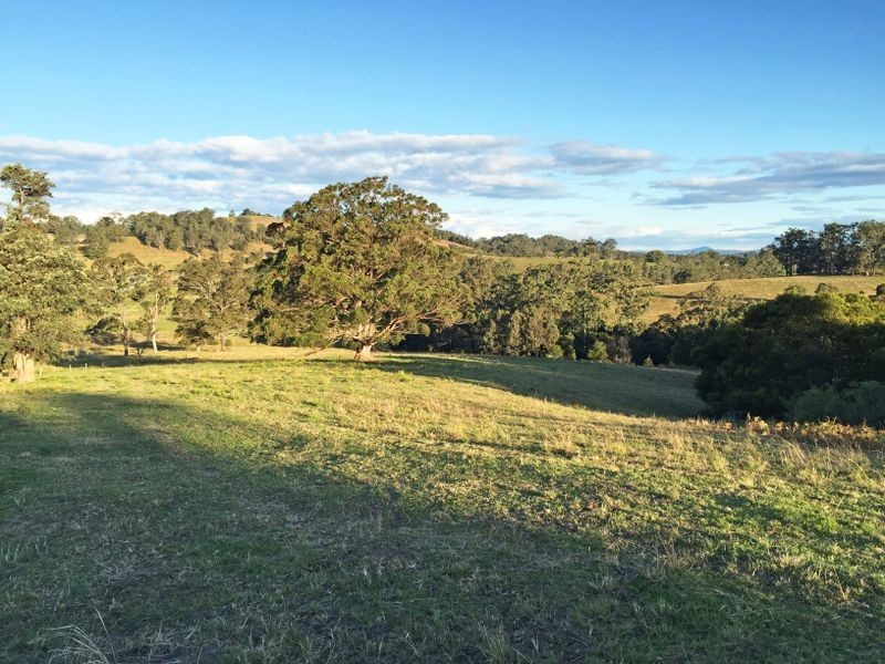 Wingham NSW 2429