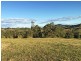 Wingham NSW 2429