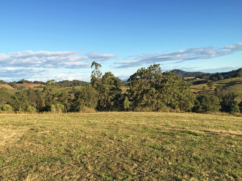 Wingham NSW 2429