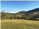 Wingham NSW 2429