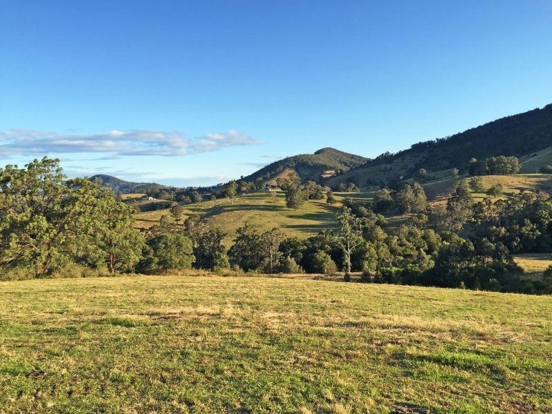 Wingham NSW 2429