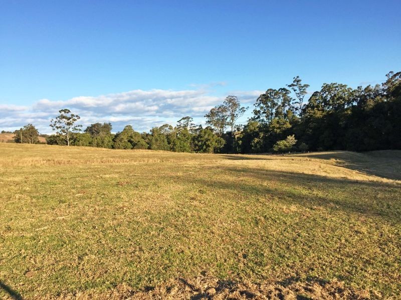 Wingham NSW 2429