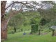 50 Bungay Road, Wingham NSW 2429