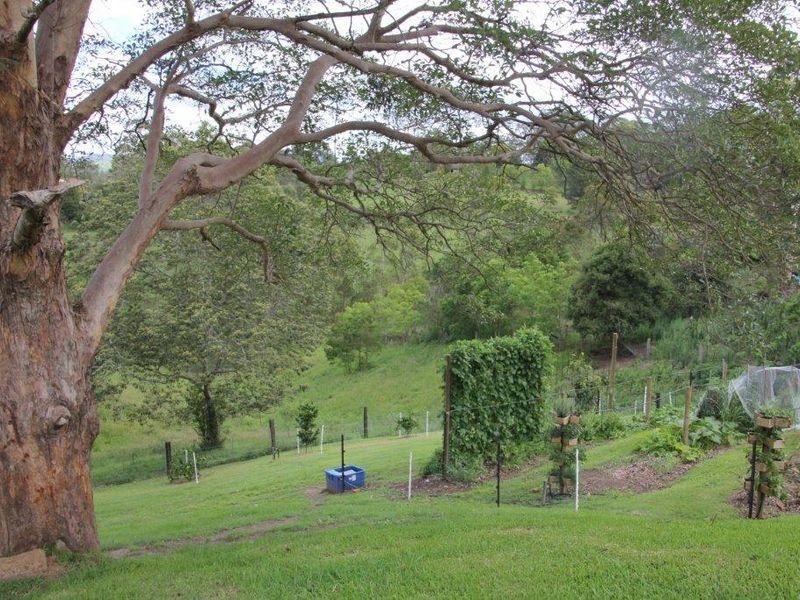 50 Bungay Road, Wingham NSW 2429