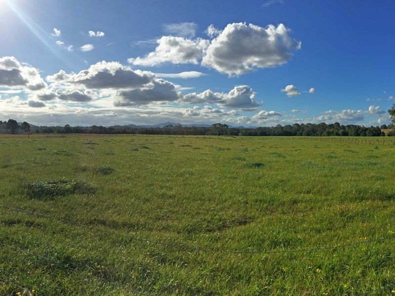 88 Pfeiffer Close, Wingham NSW 2429