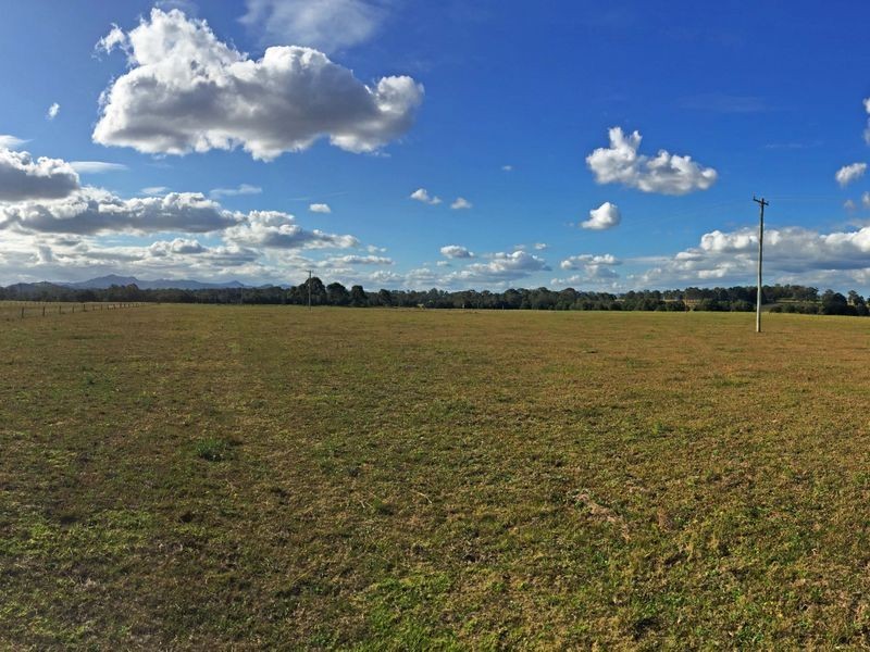 88 Pfeiffer Close, Wingham NSW 2429