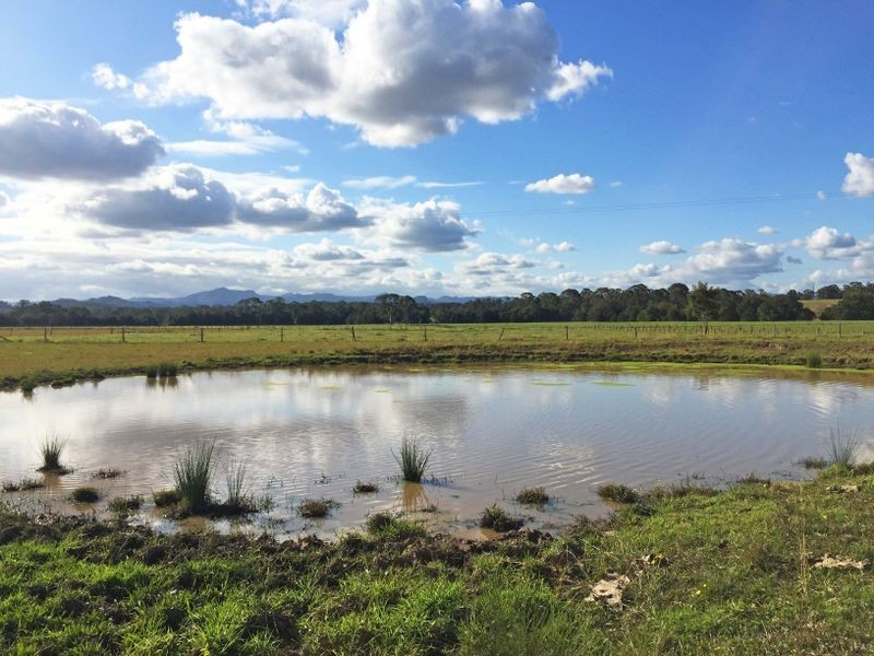 88 Pfeiffer Close, Wingham NSW 2429