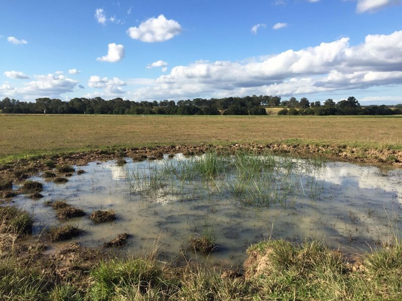 88 Pfeiffer Close, Wingham NSW 2429