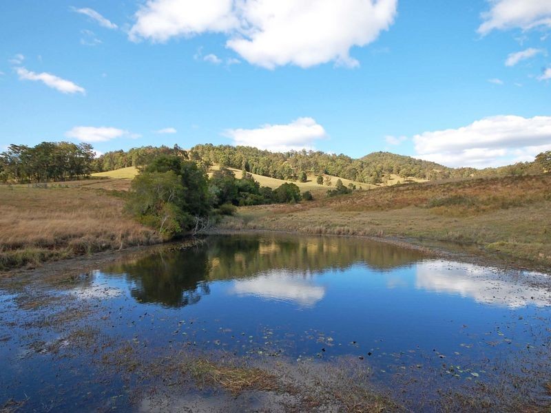 1300 Wherrol Flat Road, Wingham NSW 2429