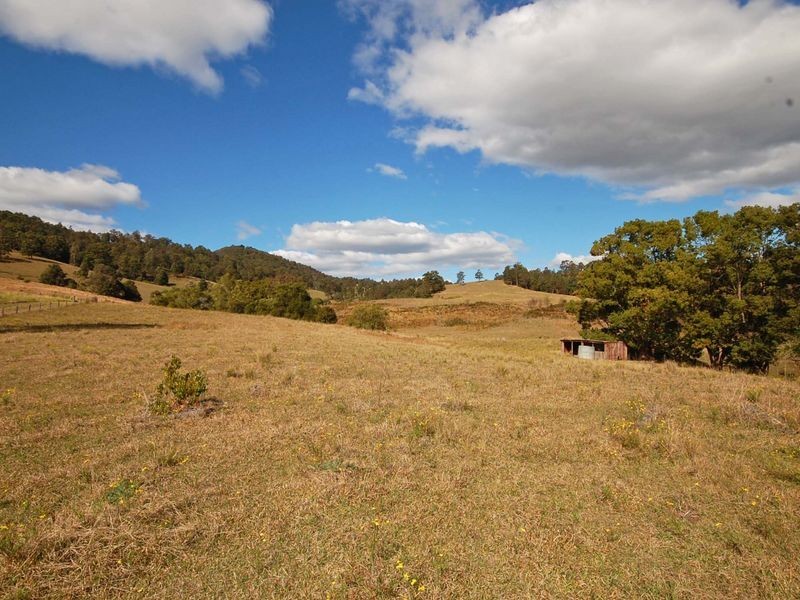 1300 Wherrol Flat Road, Wingham NSW 2429
