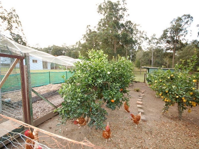 18 Kingfisher Drive, Wingham NSW 2429