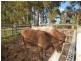 237 Bootawa Road, Bootawa NSW 2430