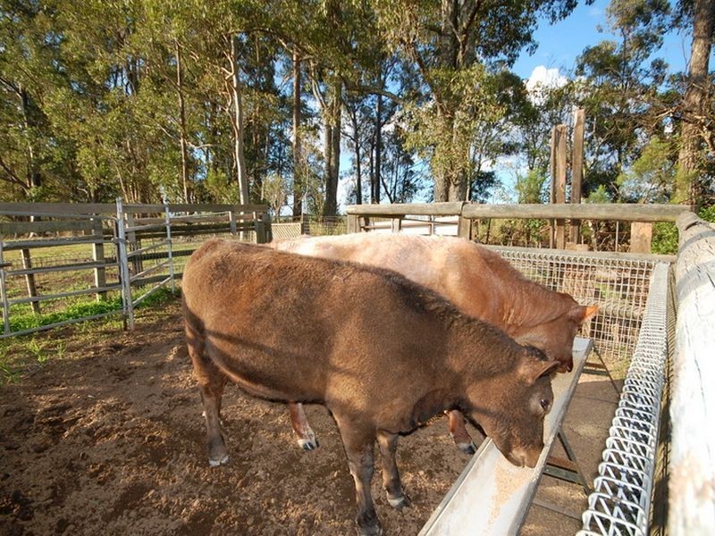237 Bootawa Road, Bootawa NSW 2430