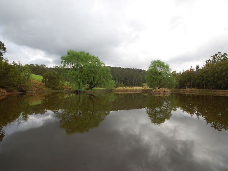 947 Caparra Road, Wingham NSW 2429