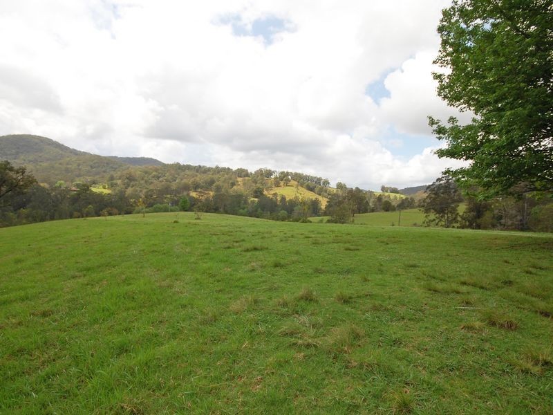 947 Caparra Road, Wingham NSW 2429