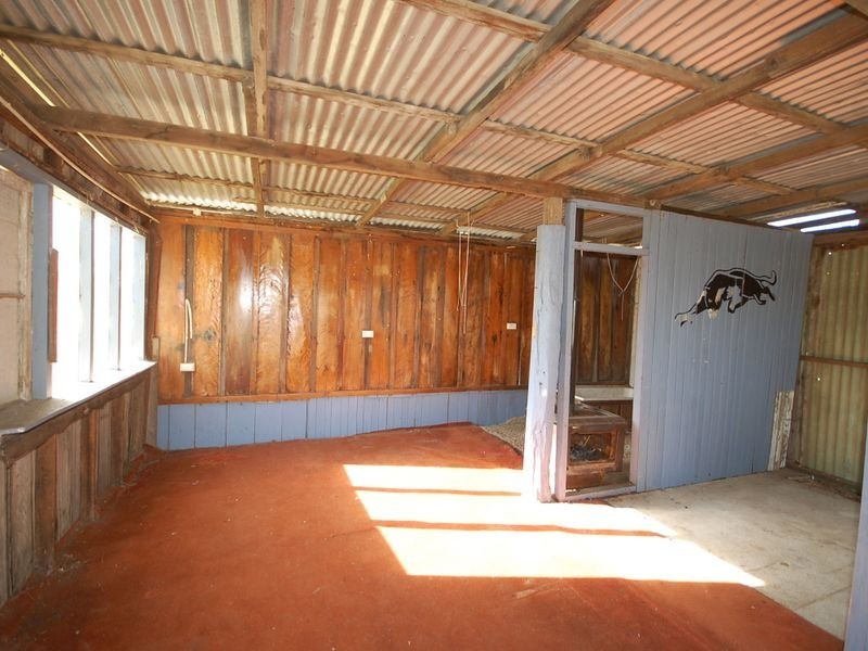 Wingham NSW 2429