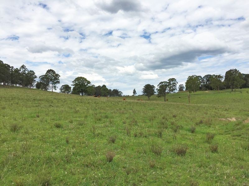 296 Youngs Road, Wingham NSW 2429