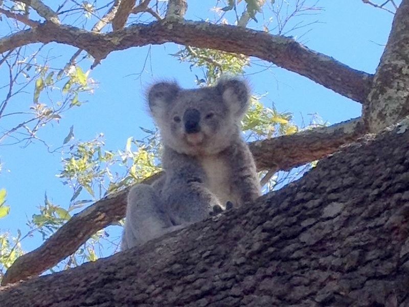 5 Bight Road, Wingham NSW 2429