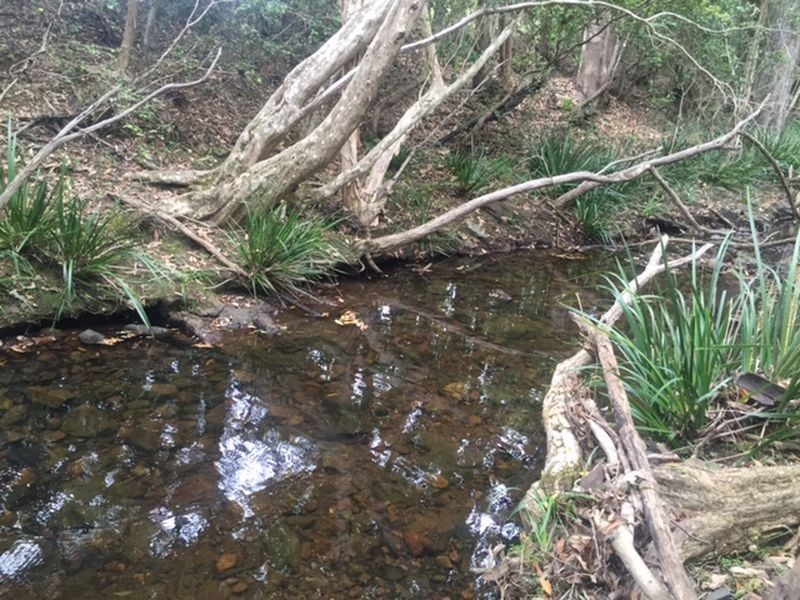 Wherrol Flat NSW 2429