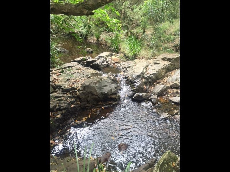 Wherrol Flat NSW 2429