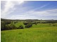 381 Mooral Creek Road, Wingham NSW 2429