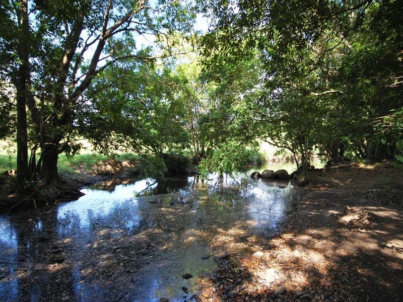 381 Mooral Creek Road, Wingham NSW 2429