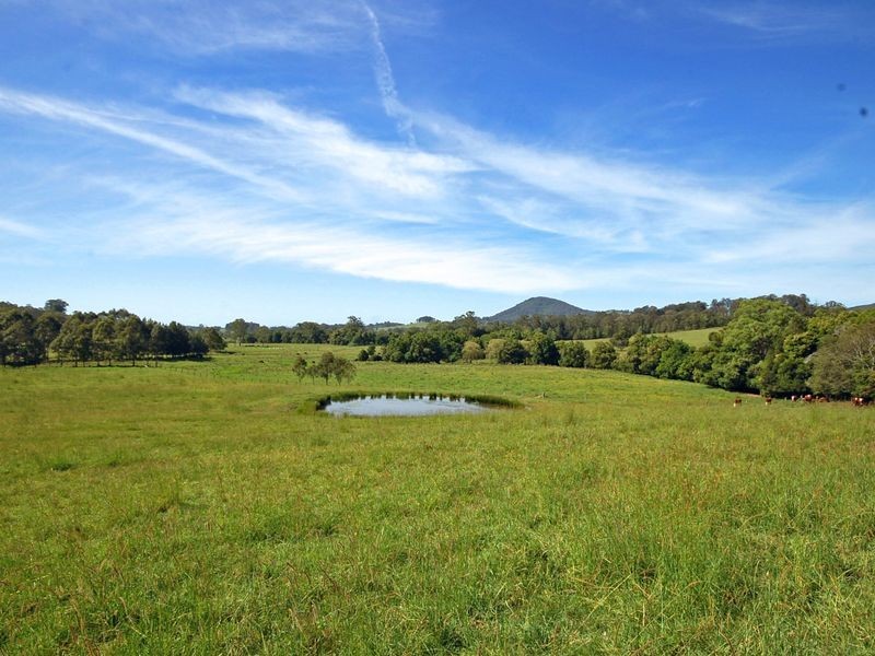 381 Mooral Creek Road, Wingham NSW 2429