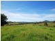 381 Mooral Creek Road, Wingham NSW 2429