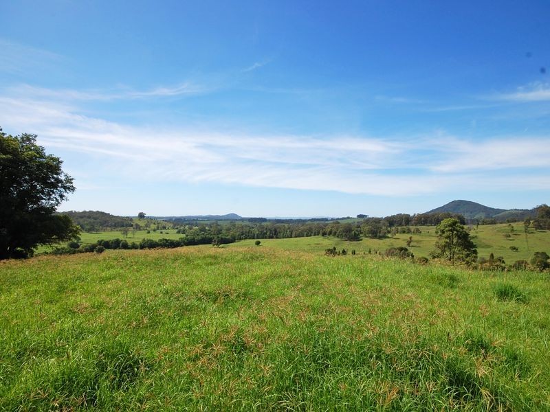 381 Mooral Creek Road, Wingham NSW 2429