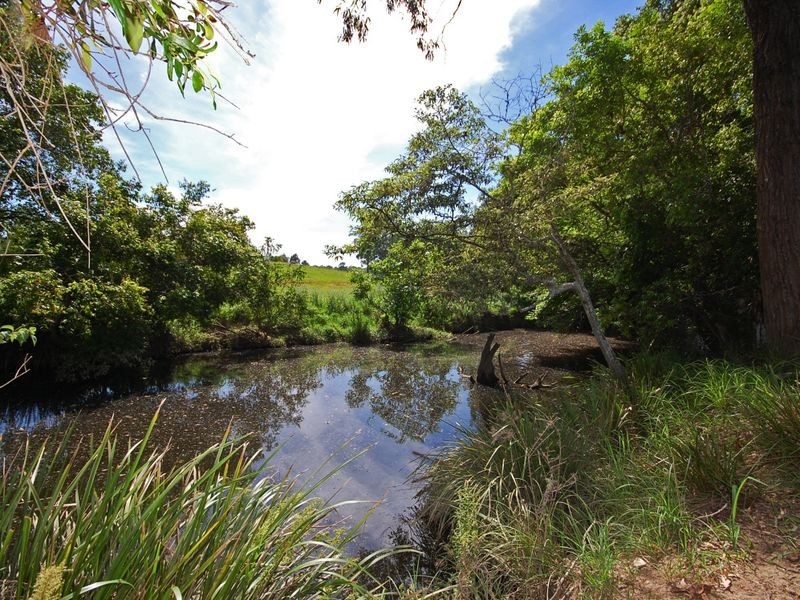 381 Mooral Creek Road, Wingham NSW 2429