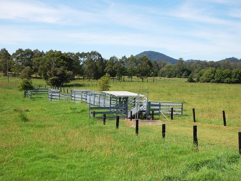 381 Mooral Creek Road, Wingham NSW 2429