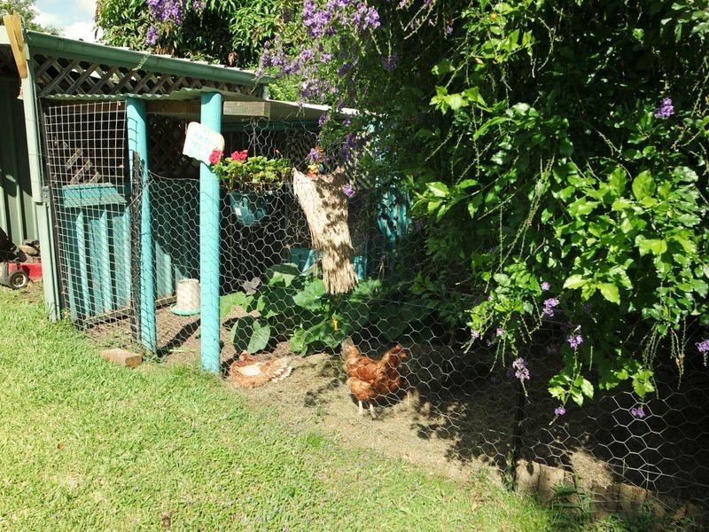 9 Gollan Avenue, Tinonee NSW 2430