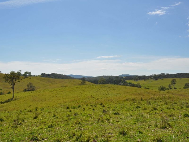 Doyles River NSW 2446