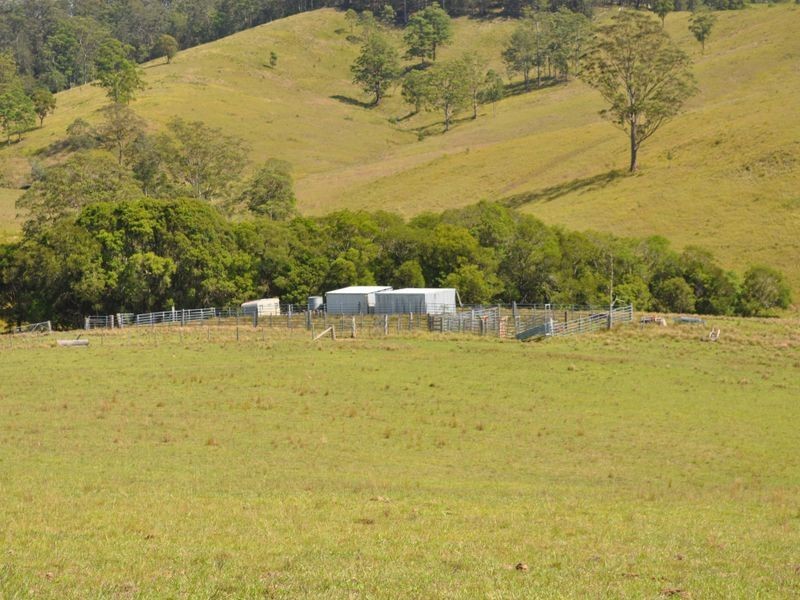 Doyles River NSW 2446