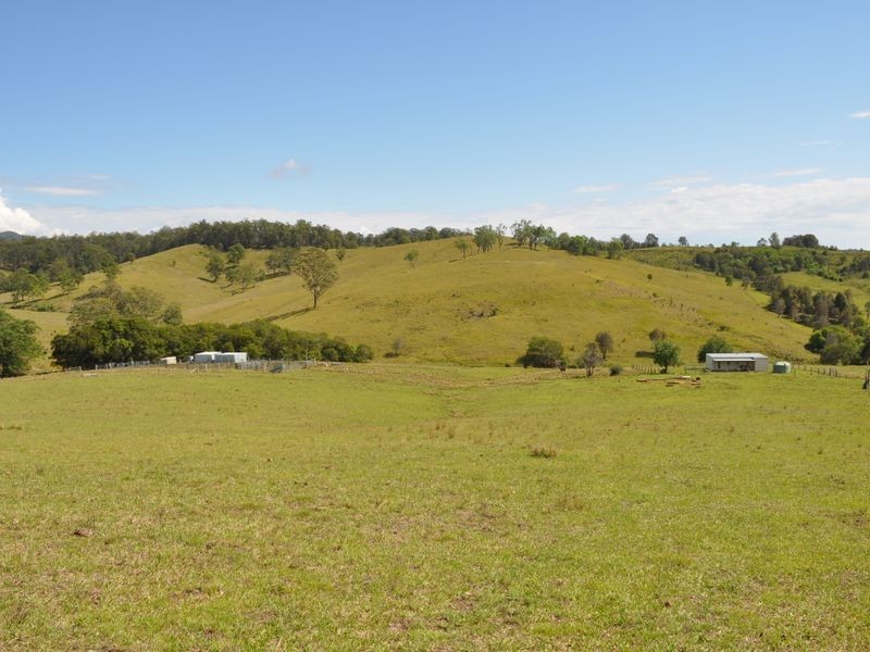 Doyles River NSW 2446