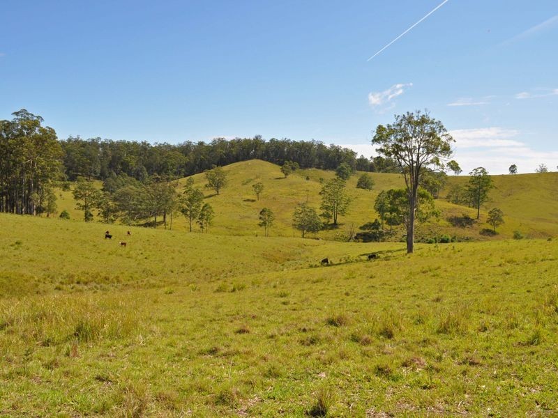 Doyles River NSW 2446