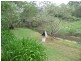 199 Deep Creek Road, Hannam Vale NSW 2443