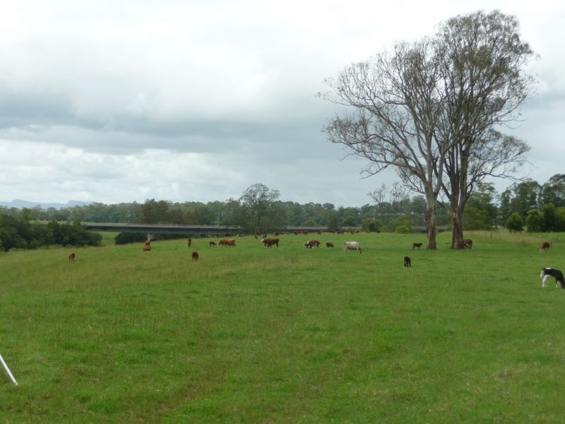 Wingham NSW 2429