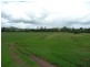 Wingham NSW 2429