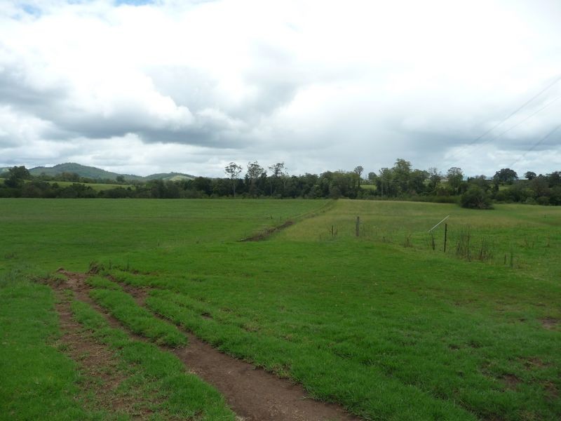 Wingham NSW 2429