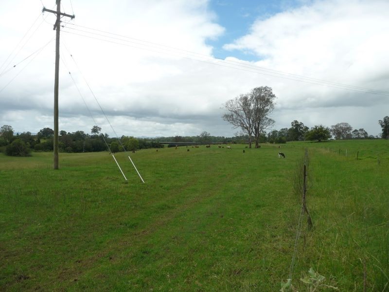 Wingham NSW 2429
