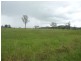 Wingham NSW 2429